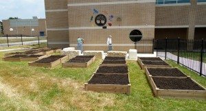 garden beds ready for planting